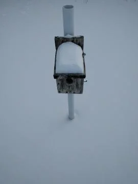 Winter Bird House in the Snow Stock Photos
