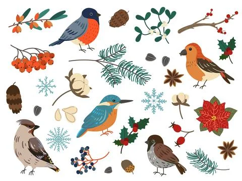 Winter birds and botanical elements. Forest and city feathered characters Stock Illustration
