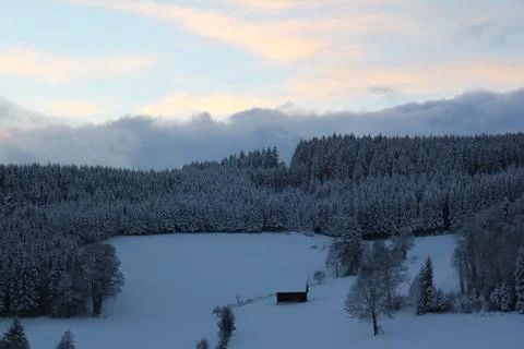 Winter in  the Black Forest Foto stock