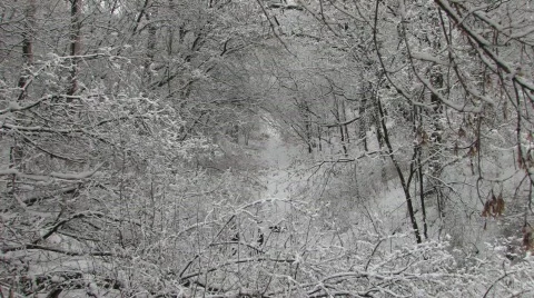 Winter Blast Stock Footage 453578