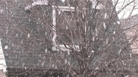 Winter Blast Stock Footage 10909566