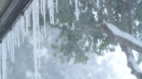 Winter blizzard. Stock-Footage 34898439