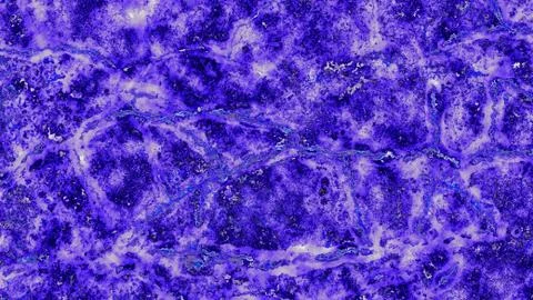 Winter Blizzard Stock Illustration