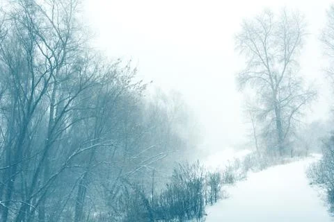 Winter blizzard Stock Photos