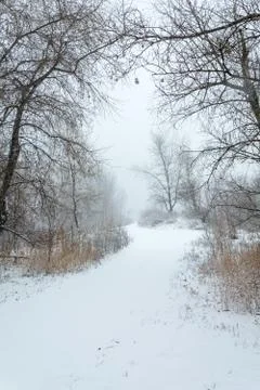 Winter blizzard Stock Photos