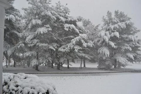 Winter Blizzard Stock Photos