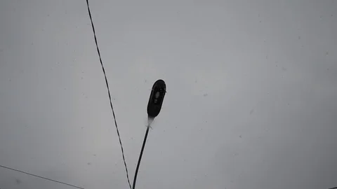 Winter blizzard snow fall in the city street. Lamp post at night showing snowing Video stock 102241407