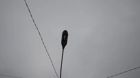 Winter blizzard snow fall in the city street. Lamp post at night showing snowing Stock Footage 102241417