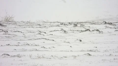 Winter blizzard sweeps treeless snowy plain under harsh continental climate Stock Footage 339943851