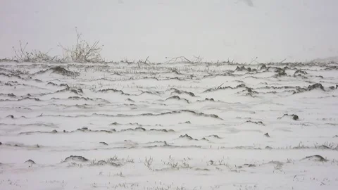 Winter blizzard sweeps treeless snowy plain - Winter Steppe and Subzero Climate Stock Footage 339944827