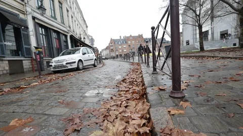 Winter, blowing red leafs, slow motion, urban Stock Footage 101349873