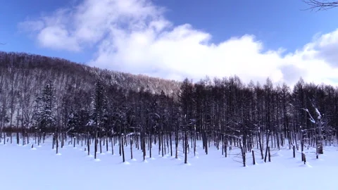 Winter at the Blue Pond Video stock 332198064