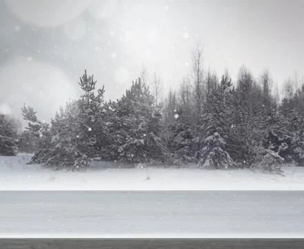 Winter blur background Stock Photos