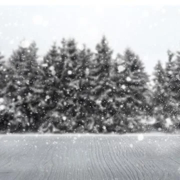 Winter blur background Stock Photos