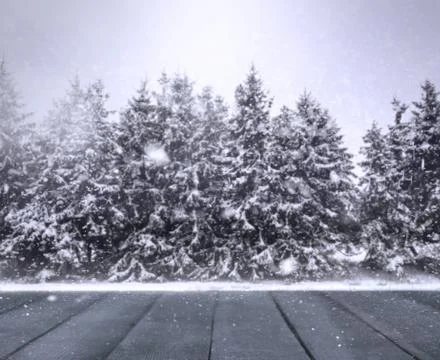 Winter blur background Stock Photos