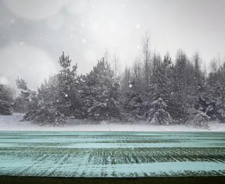 Winter blur background Stock Photos