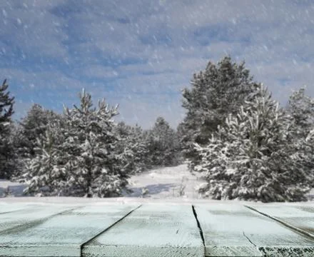 Winter blur background Stock Photos