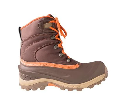 Winter boot for hiking 스톡 사진