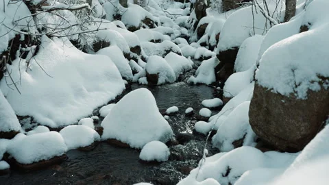 Winter Boreal Forest Stream – Scenic Nature Footage Video stock 322120545