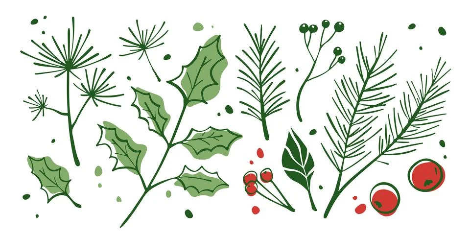 Winter botanical elements Stock Illustration