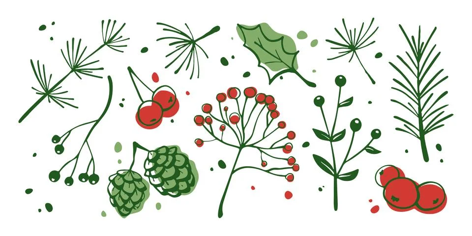 Winter botanical elements Stock Illustration