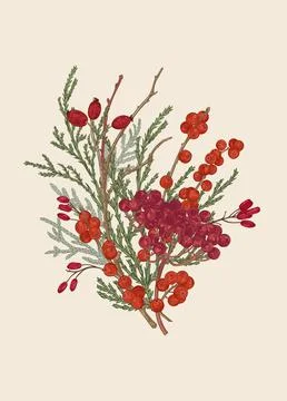 Winter bouquet with berries. Illustrazione stock