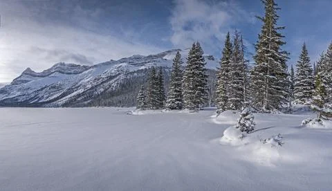 Winter at Bow Lake Stock Photos