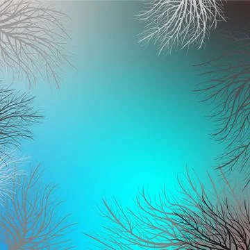 Winter branch on light background. Beautiful winter branch, great design for Stock Illustration