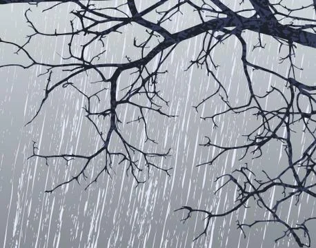 Winter branches Illustrazione stock