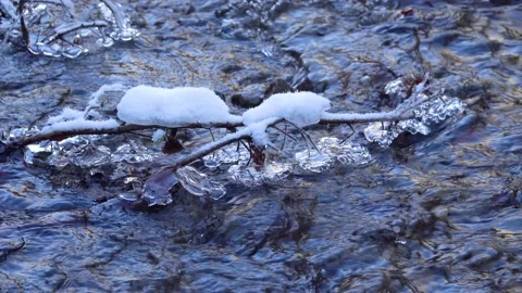 Winter. branches of trees covered with ice hang over water. Stock Footage 170553056