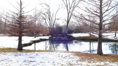 Winter Bridge II Stock Footage 123559133
