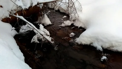 Winter brook 스톡 동영상 85069555