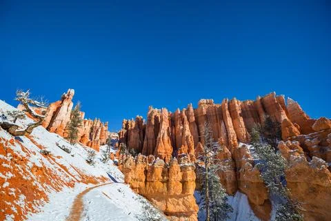 Winter Bryce Stock Photos