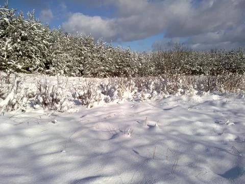 Winter calm Foto stock