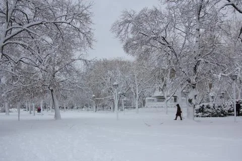 Winter at the Cambridge Common Stock Photos