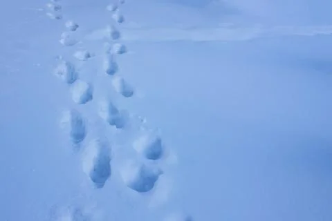 Winter came. Stock Photos
