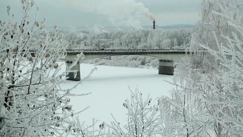 Winter camera view on the slider through the trees on the road on the bridge Stock-Footage 86225860