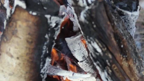 Winter Camp Fire Stock Footage 149276599