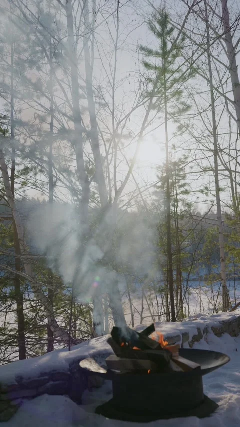 Winter campfire in snowy forest. Stock Footage 317006253