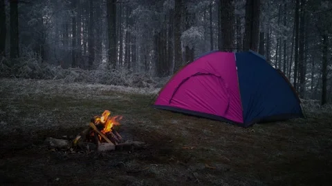 Winter camping, tent and fire.Pine forest.camping fire burning near the tent Stock Footage 144504559