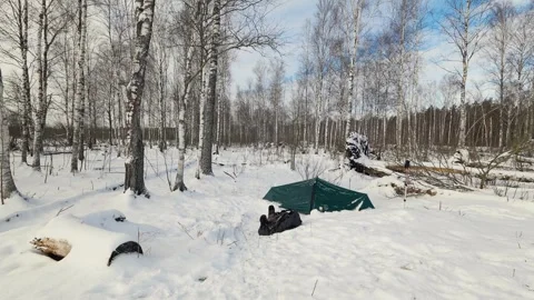Winter Camping: Tent in Tranquil Forest Scene Video stock 317608772