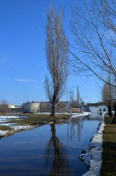 Winter canal with tree reflections and blue sky Stock-Fotos