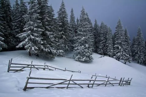 Winter in a carpathian village Stock Photos