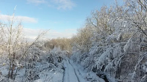 Winter Carpathians Stock Footage 122523431
