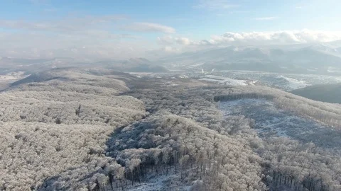 Winter Carpathians Stock Footage 122523562