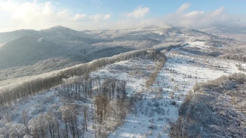 Winter Carpathians Stock Footage 122523618