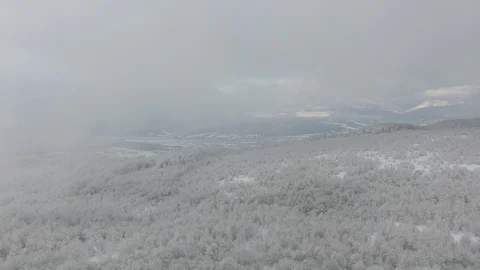 Winter Carpathians Stock Footage 122525411