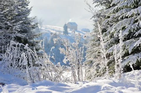 Winter in Carpathians Stock Photos