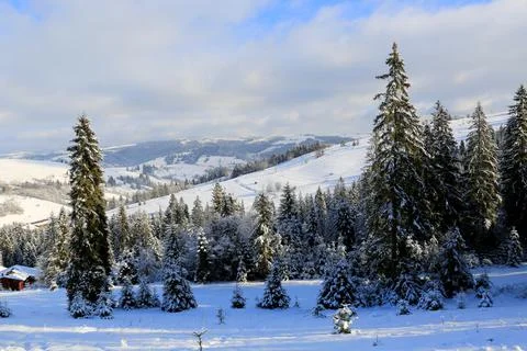 Winter in Carpathians Stock Photos