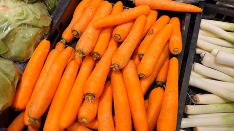 Winter carrots are in a crate on a shelf in a supermarket Stock Footage 288209927